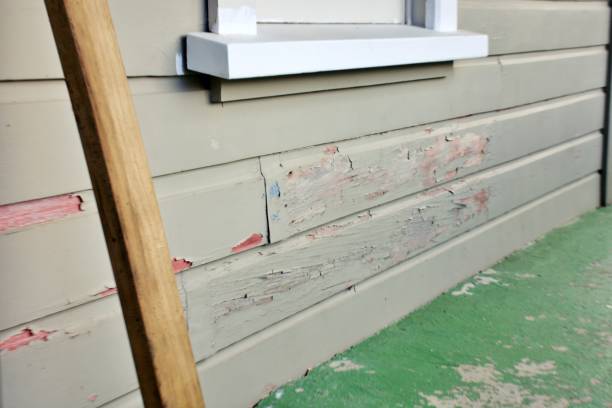 Best Siding Removal and Disposal  in USA